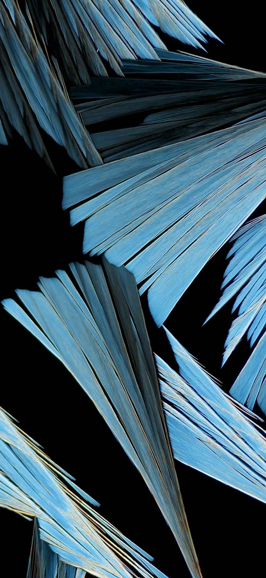 MIUI 13 Live Wallpaper 2